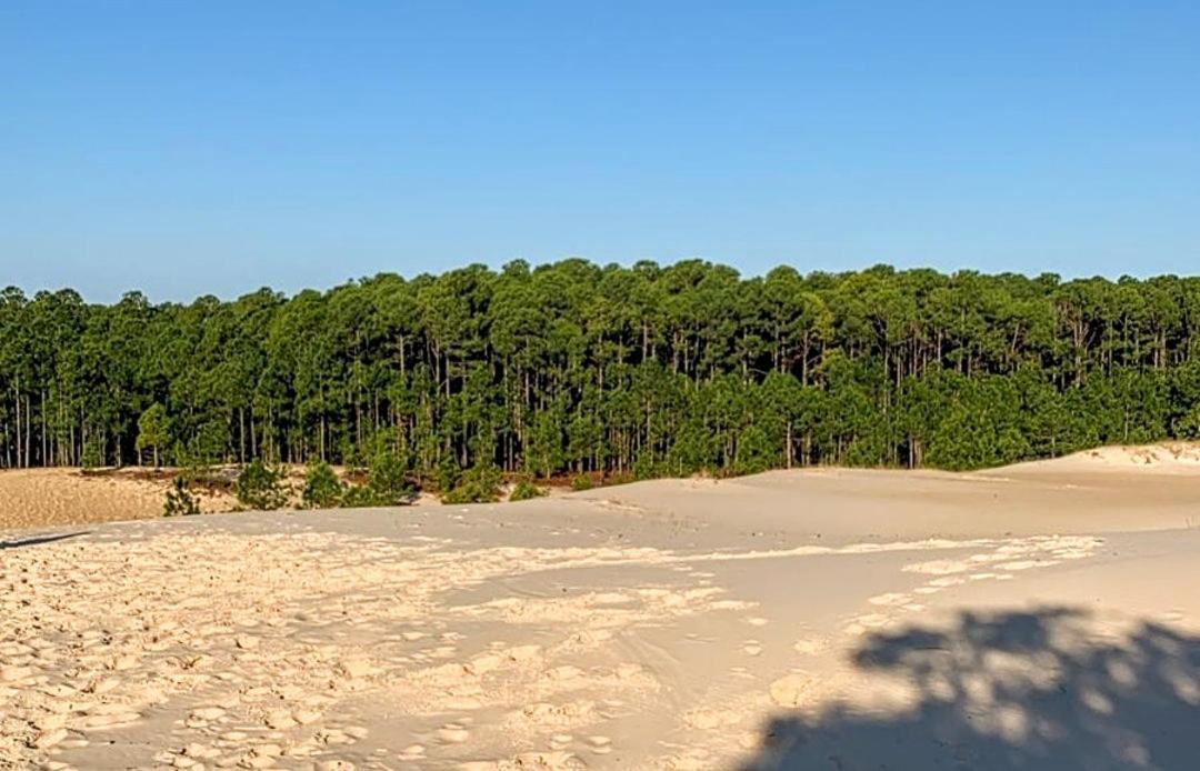 فيلا Quinta Do Mocambique Florianópolis المظهر الخارجي الصورة